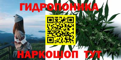 шишки Ярославль