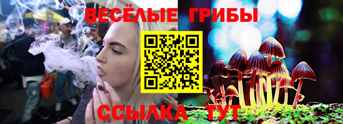 Марихуана Осинники
